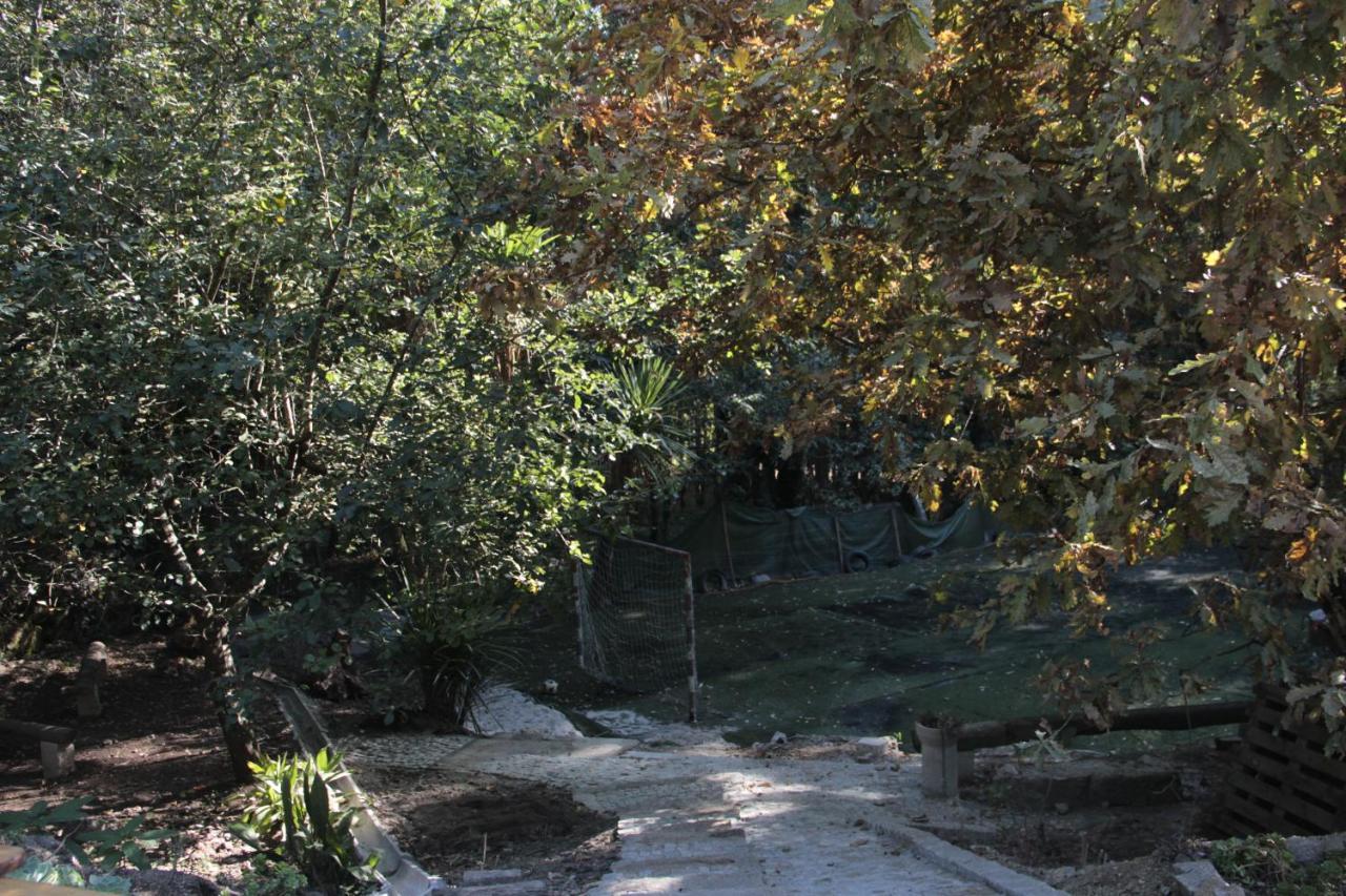 Bosque Dos Amieiros Villa Marco de Canaveses Luaran gambar